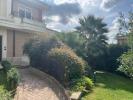 Non solo affitti | PTM Immobiliare
